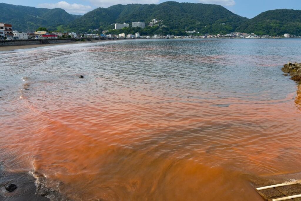 赤潮が発生した赤茶色の海