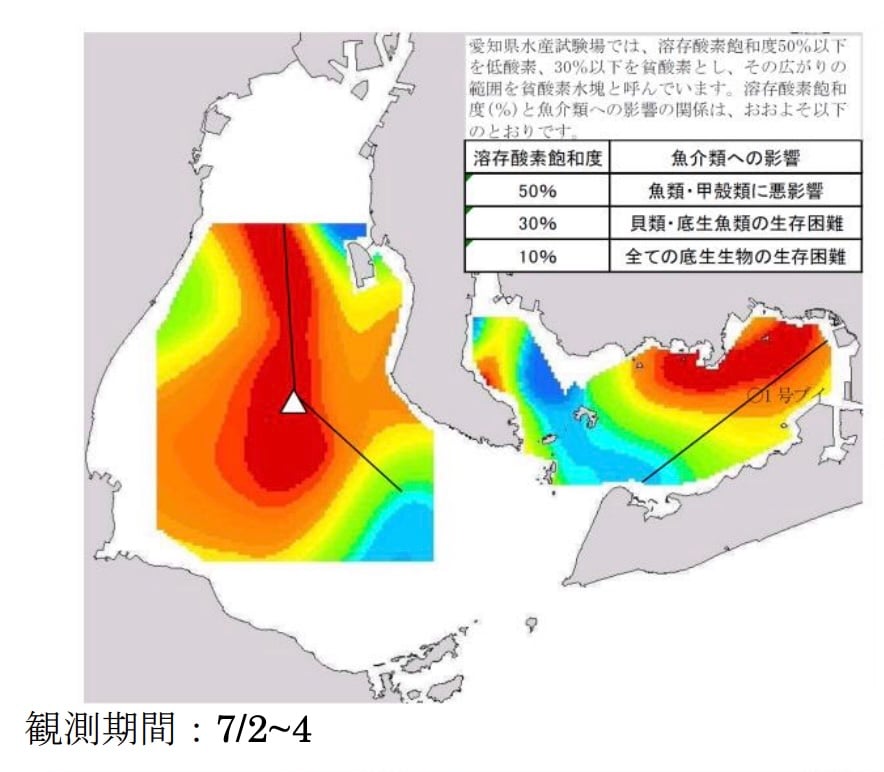 伊勢湾の溶存酸素飽和度の熱分布図と、魚介類への影響をまとめた表。観測期間は2018年7月2日から4日