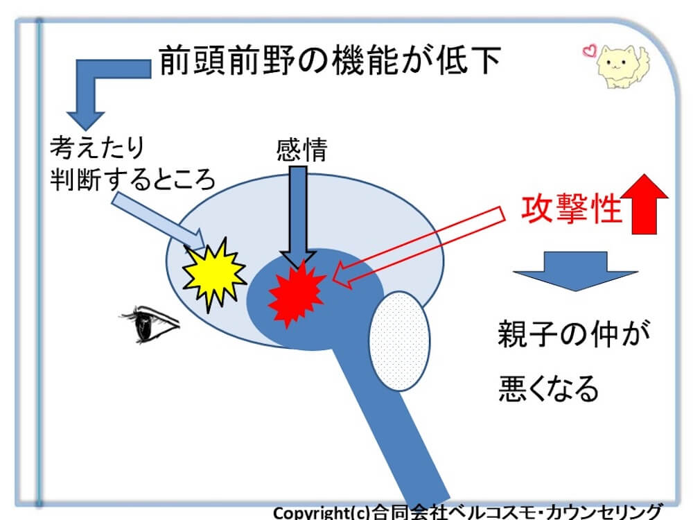 脳のイラストを用いて「前頭前野の機能が低下」した際の影響を説明した図。「考えたり判断するところ」の機能が低下することで、脳の「感情」の部分がコントロールを失い、「攻撃性」が上昇(赤い上向き矢印)するプロセスが示されている。その結果として、右下に「親子の仲が悪くなる」という帰結が描かれている。著作権:合同会社ベルコスモ・カウンセリング。