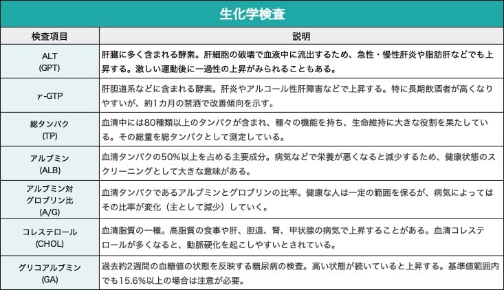 ALT(GPT)/肝臓に多く含まれる酵素。肝細胞の破壊で血液中に流出するため、急性・慢性肝炎や脂肪肝などでも上昇する。激しい運動後に一過性の上昇がみられることもある。
γ-GTP/肝胆道系などに含まれる酵素。肝炎やアルコール性肝障害などで上昇する。特に長期飲酒者が高くなりやすいが、約1カ月の禁酒で改善傾向を示す。
総タンパク(TP)/血清中には80種類以上のタンパクが含まれ、種々の機能を持ち、生命維持に大きな役割を果たしている。その総量を総タンパクとして測定している。
アルブミン(ALB)/
血清タンパクの50%以上を占める主要成分。病気などで栄養が悪くなると減少するため、健康状態のスクリーニングとして大きな意味がある。
アルブミン対グロブリン比(A/G)/血清タンパクであるアルブミンとグロブリンの比率。健康な人は一定の範囲を保つが、病気によってはその比率が変化(主として減少)していく。
コレステロール(CHOL)/血清脂質の一種。高脂質の食事や肝、胆道、腎、甲状腺の病気で上昇することがある。血清コレステロールが多くなると、動脈硬化を起こしやすいとされている。
グリコアルブミン(GA)/過去約2週間の血糖値の状態を反映する糖尿病の検査。高い状態が続いていると上昇する。基準値範囲内でも15.6%以上の場合は注意が必要。