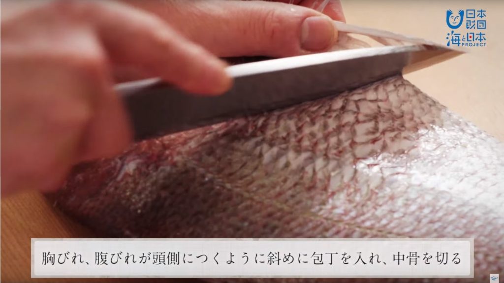 A scene from the video "How to prepare Japanese sea bream." The Japanese subtitle says, "Place the knife at an angle so that the pectoral fin and pelvic fin will stay attached to the head, and cut the backbone."