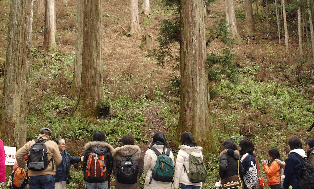 写真：森の中で行われたフィールドワークに参加する女子高生たち