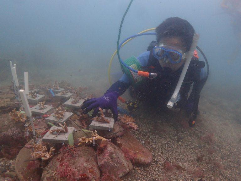 海底に微弱電波への接続の有無で分けて設置し、成長を比較できるようにしている